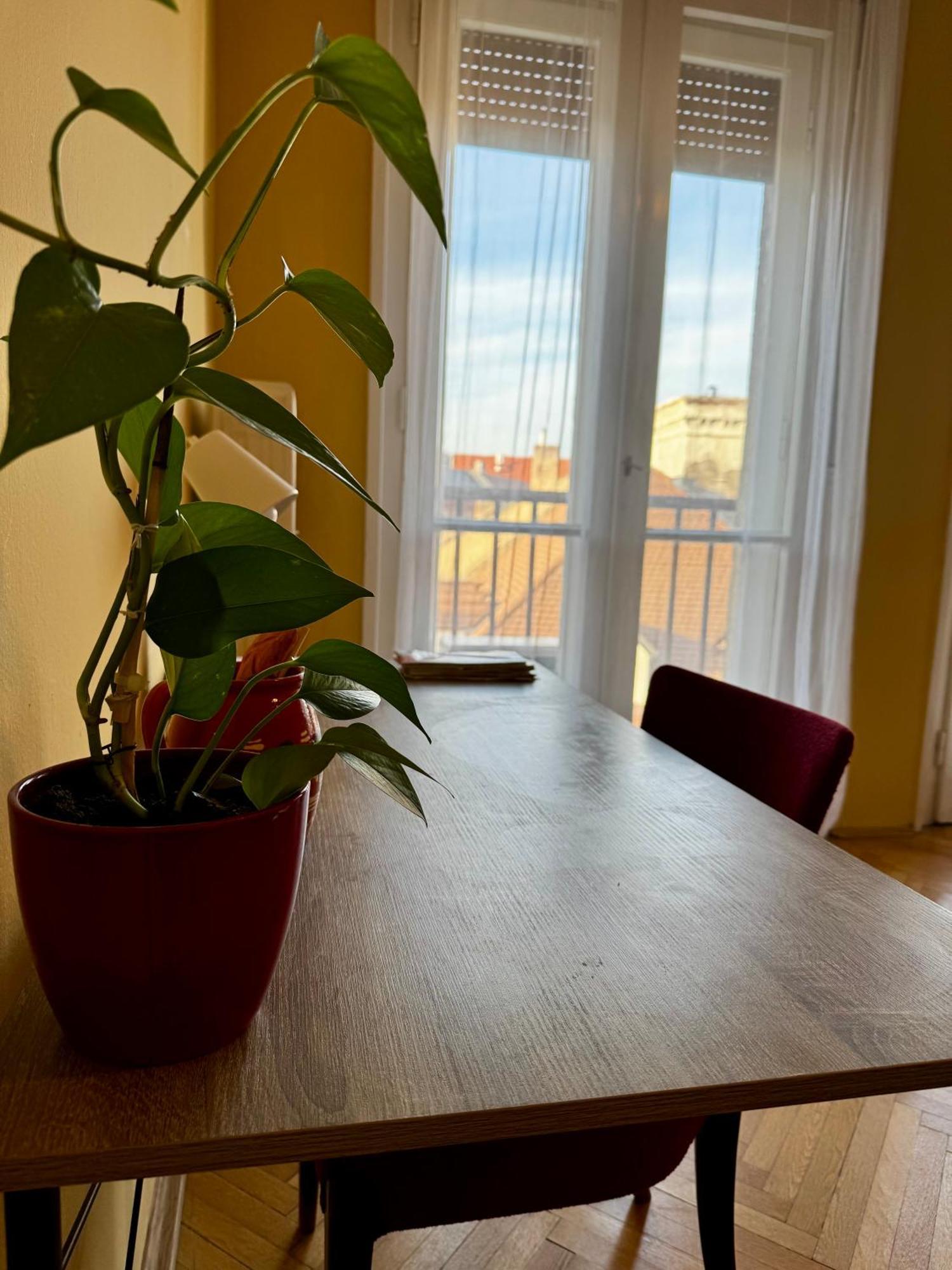 Extralarge Queen Room In The Heart Of Bratislava With Terrace ภายนอก รูปภาพ